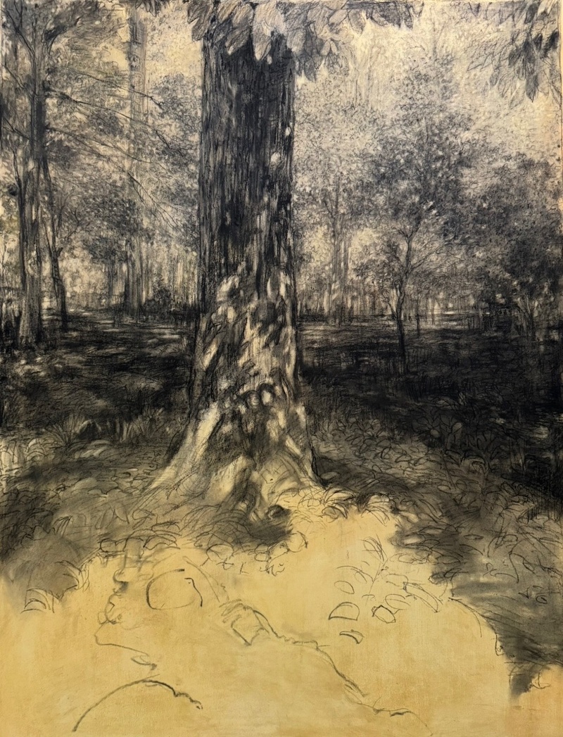 Light in the Shadows by Linda Jacobs